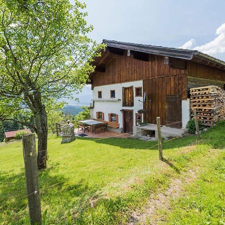 Villa Almliesl Abte-395 Abtenau Exterior foto